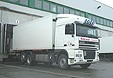 DAF 95 XF Wechselkoffer-Lkw